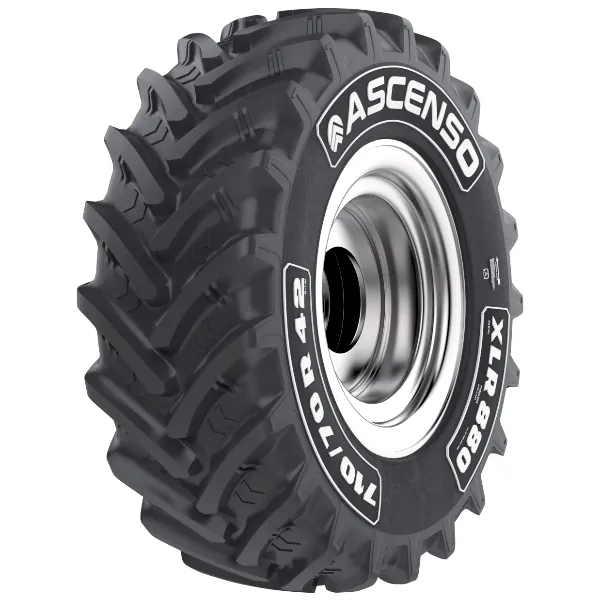 ASCENSO XLR 880 1
