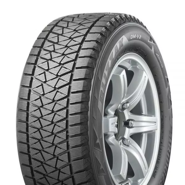 Bridgestone Blizzak DM-V2 1