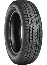 GRIPMAX SUREGRIP eWINTER 1