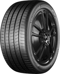 DUNLOP Blue Response TG 1